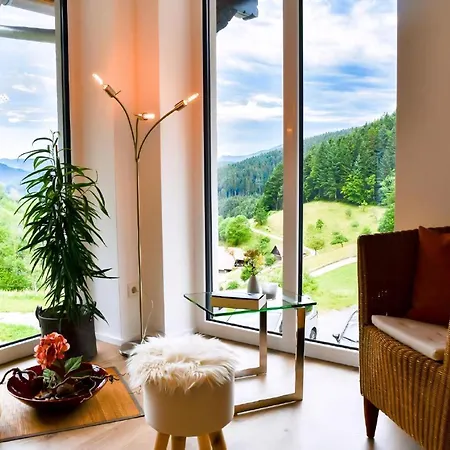 Apartamento Fewo Mit Whirlpool Und Infrarotsauna Hausach